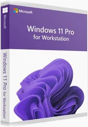 Windows 11 Workstations